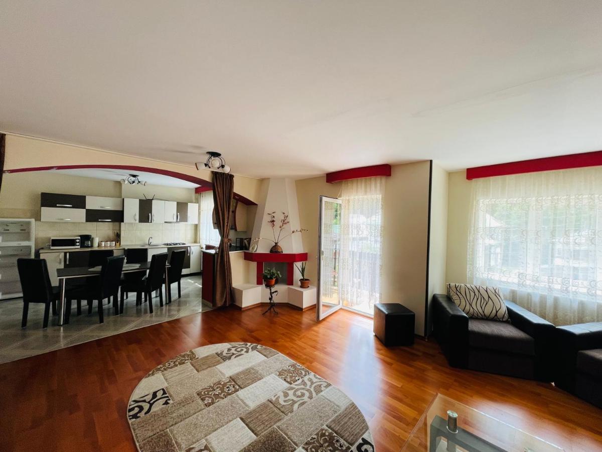 Apartament Extralarge Буштени Экстерьер фото