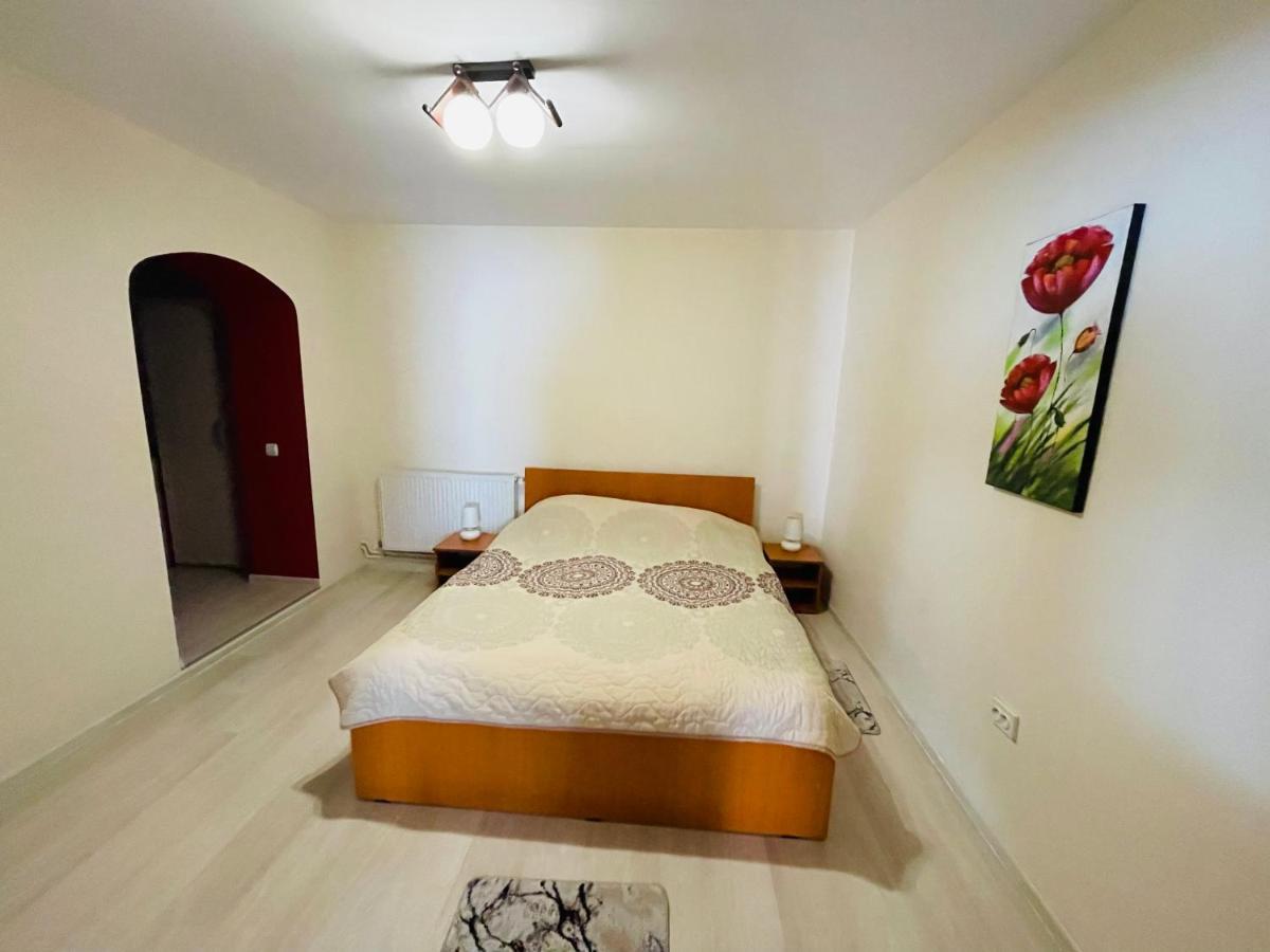 Apartament Extralarge Буштени Экстерьер фото